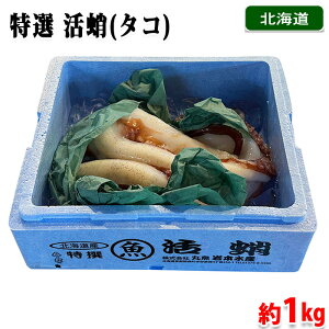 yz kCY@I@@1kg ij Y ^R