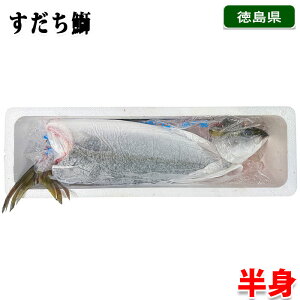 Y@܁@Ȃ@g@1{@lgiljw / g