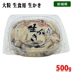 {錧Y@嗱@Hp@@500g ipbNj Y y