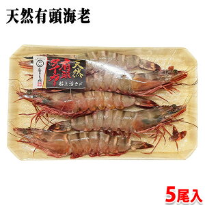 �D�㊈�Y�@�V�R�L�� �V�[�^�C�K�[�C�V�@�L���E�k���@����@4/6�T�C�Y�@395g �i5�����j �Ⓚ