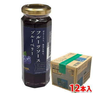 【送料無料】 蔵王高原農園 フルーツソース ブルーベリー 160g×12本入 (箱) セット 業務用 製菓
