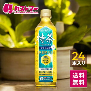  WX~ 24{肨 500ml×24{ 1P[X CG gN`  { یpHi gNz  ̎b _CGbg ܂Ƃߔ  P[X