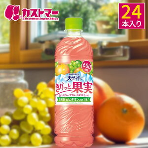 yԌ聚ʉizy2P[XȏwőIz Tg[ VR Ɖʎ sNO[vt[c}XJbg 600ml×24{ 1P[X ybg{g  r^~C ~lEH