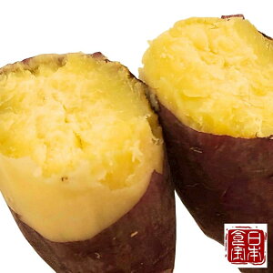 y،Yz܂@g͂邩 iYnj