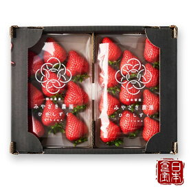 【熊本県産】ひのしずく（家庭用）300g×2パック (産地直送)