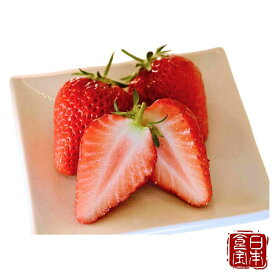 【愛知県産】 紅ほっぺ / やよい姫 (産地直送) ※北海道・沖縄・離島へのお届け不可