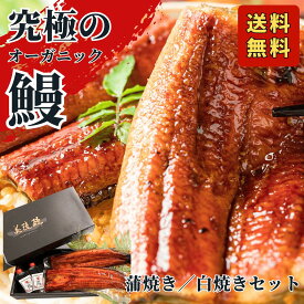 美陵鰻 蒲焼き／白焼きセットも選べる 無投薬 国産うなぎ 関西風／藤井寺産 オーガニック鰻／山椒付き／贈答用にも最適／送料無料／みんなが知らない日本の食宝