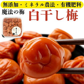 ご褒美と贈り物に【無添加梅干し 白干し梅】魔法の梅 ご家庭用｜和歌山県産 紀州南高梅の完熟白干し梅｜塩とにがりだけで仕上げた伝統製法｜ミネラル農法×減農薬｜塩分12％/15％選択可｜夏ギフト・プレゼント 贈答に◎
