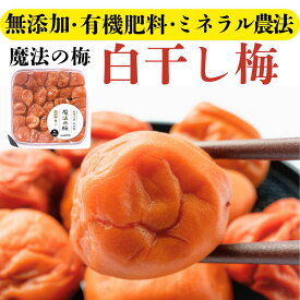 ご褒美と贈り物に【無添加梅干し 白干し梅】魔法の梅 ご家庭用｜和歌山県産 紀州南高梅の完熟白干し梅｜塩とにがりだけで仕上げた伝統製法｜ミネラル農法×減農薬｜塩分12％/15％／みんなが知らない日本の食宝