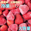 訳あり大容量【冷凍あまおう 1.6kg/3.2kg】福岡県産ブランド苺｜有機肥料×低農薬で栽培した完熟いちごを急速冷凍｜濃厚な甘さと香り｜ジャム・スムージー・スイーツ・お酒にも◎｜要冷凍便