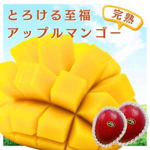 アーウィン 食品 マンゴー」の人気商品一覧・価格比較 - 価格.com