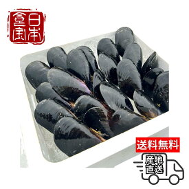 毎日のご飯を、少し贅沢に。｜お買い物マラソン開催中【青森県産】 陸奥湾 活ムール貝 ※着日指定推奨 ※沖縄・離島へのお届け不可