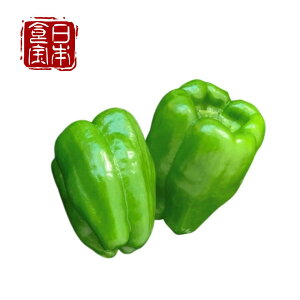 �y���Ɍ��Y�z�s�[�}�� 3kg/5kg/10kg �����܃s�[�}���b���� ��݂����Ȃ� �΂ƐԂ̍����b�A�n�̃u�����h�s�[�}�� �Y�n����