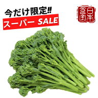 【鹿児島県産】スティックセニョール（産地直送）※着日指定不可 ※北海道・沖縄・離島のお届け不可