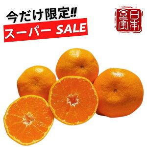 y芄 {z^X[p[Z[ʉi/12/4 20:00`X^[g!!y쌧zB݂ iYnj ws