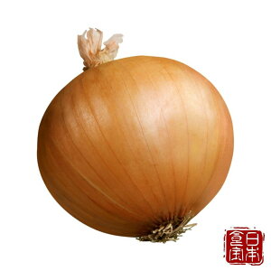 yWHYzɏnʔK3kgiYnjV[bgIjI^݂ȂmȂ{̐H