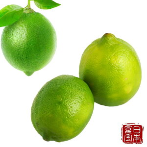 yF{YzO[ECe1kg v2kg(Yn)^݂ȂmȂ{̐H