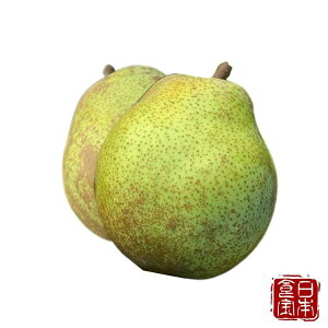 yR`YzEtX 5kg 18`12i2LTCY`5LTCYjiYnj^݂ȂmȂ{̐H