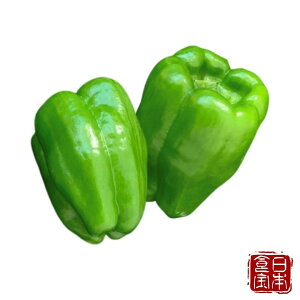 �y���Ɍ��Y�z�����܃s�[�}�� 3kg�i�Y�n�����j�^�݂�Ȃ��m��Ȃ����{�̐H��