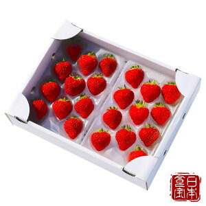 yVY zP  200g×2z̊nb5̊󏭕ibZȊÂ݁_炩Hbt_Ղ聕_sgpb䕂̉ԂƂ΂Yn^݂ȂmȂ{̐H