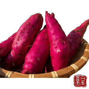 ytYzVg͂邩 iYnj^݂ȂmȂ{̐H