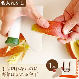 包丁 カマンカッティ 1本 ペーパーバッグ＜名入なし＞選べるカラーCOMMON Cuttyキッチンツール 包丁 プレゼント ギフト 誕生日 還暦祝い 退職祝い ギフト 贈り物 ラッピング 料理 キッチン 結婚祝い 出産祝い 誕生日 新生活 包丁セット 右利き 左利き 両刃