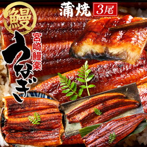 V Ȃ Y EiM Ă 3Zbgmv420gnB{Y Vy ΏĂ Ђ܂Ԃ n X̖ 񂹃O ʔ lC ȂmΕ NX}X ӂ邳ƃMtgn