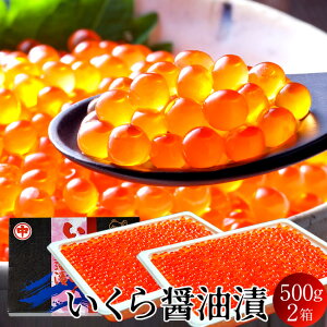  kCY CN ݖЂ 1kgi500g×2j  H ŖkIz[cNC m炿 񂹁mH̖o ӂ邳ƃMtgn