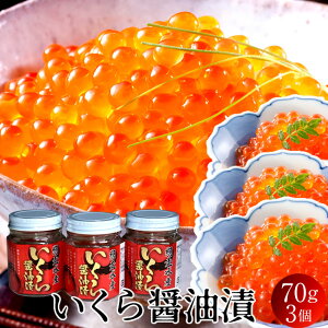  kCY CN ݖЂ 70g×3   H ŖkIz[cNC 񂹁mH̖o ӂ邳ƃMtgn