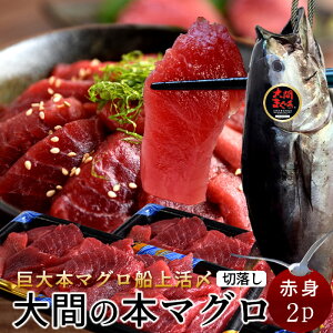 Ԃ̃}O 󂠂 Ԑg [200g×2P] ܂ { N}O ԎY ؂藎Ƃ {܂ XԎY Ԃ̂܂ hg KiO ؂藎 ؗ t  Ynmc 