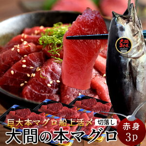 Ԃ̃}O 󂠂 Ԑg [200g×3P] ܂ { N}O ԎY ؂藎Ƃ {܂ XԎY Ԃ̂܂ hg KiO ؂藎 ؗ t  YnmH̖o 