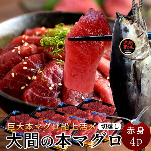 Ԃ̃}O 󂠂 Ԑg [200g×4P] ܂ { N}O ԎY ؂藎Ƃ {܂ XԎY Ԃ̂܂ hg KiO ؂藎 ؗ t  YnmH̖o 