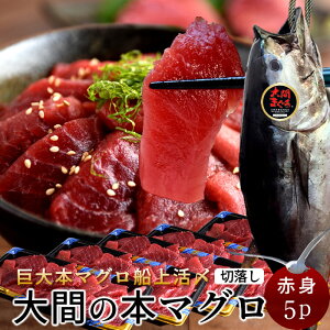 Ԃ̃}O 󂠂 Ԑg [200g×5P] ܂ { N}O ԎY ؂藎Ƃ {܂ XԎY Ԃ̂܂ hg KiO ؂藎 ؗ t  YnmH̖o 