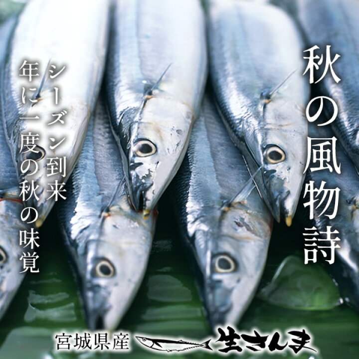 楽天市場 さんま 新物 生さんま 刺身用 尾 10尾 2箱 サンマ 秋刀魚 鮮さんま 鮮サンマ お刺し身 国産 宮城県 三陸 直送 生 冷蔵 海水氷詰め 鮮度抜群 塩焼き 煮付 ひもの トロさんま 産地直送 送料無料 ギフト 贈り物 プレゼント お祝い のし対応 父の日 ギフト 楽天市場 さんま 新物 生さんま 刺身用 尾 10尾 2箱 サンマ 秋刀魚 鮮さんま 鮮サンマ お刺し身 国産 宮城県 三陸 直送 生 冷蔵 海水氷詰め 鮮度抜群 塩焼き 煮付 ひもの トロさんま 産地直送 送料無料 ギフト 贈り物 プレゼント お祝い のし対応 父の日 ギフト