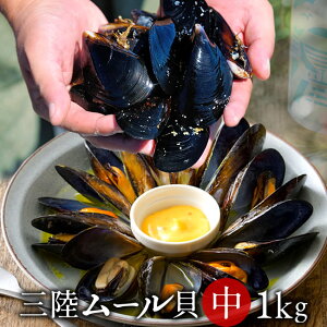 O[L ktmn1kgyV󃌃Xgz[L {錧 ǂ ʔ̐lCLO NxQ  k yY CN C̍K YnmΕ NX}X ӂ邳ƃM