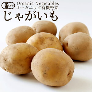 L@ Ⴊ 400g n鏒 {_ыKiJAS I[KjbN xW^u X[W[ ޗ {̋  _YZ^[mΕ NX}X ӂ邳ƃMtgn