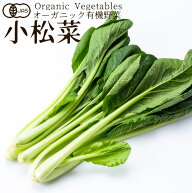 有機野菜 小松菜 150g こまつな 日本農林規格JAS オーガニック ベジタブル スムージー 料理材料 旬の具材…
