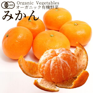 L@ ݂ 650gm6ʑOnkʎ~J t[c {_ыKiJAS I[KjbN xW^u X[W[ ޗ {̋  _YZ^[mΕ NX}X ӂ邳