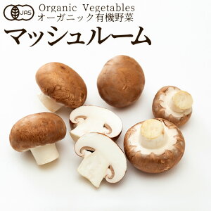 L@ uE}bV[ 100g ̂ {_ыKiJAS I[KjbN xW^u X[W[ ޗ {̋  _YZ^[mΕ NX}X ӂ邳ƃMtgn