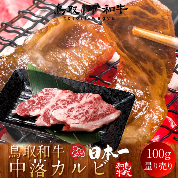 牛肉 鳥取和牛 - 牛肉の人気商品・通販・価格比較 - 価格.com