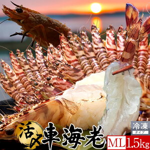 ԊCV hgm\11nYⓀyMLz1.5kgm45-66nV 炿 Ԃ F{Y 쓇 N}Gr {B H Ԃ GrtC  { Hו Ă  