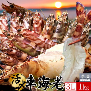 ԊCV hgm\12nYⓀ y3Lz1kgm15-23nV 炿 Ԃ F{Y 쓇 N}Gr {B H Ԃ GrtC  Yn { Hו Ă 