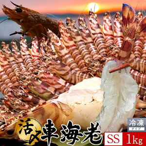 炿 ԊCV hg YⓀyz1kgm50-60nV Ԃ F{Y 쓇 N}Gr {B H Ԃ GrtC  Yn { Hו Ă  