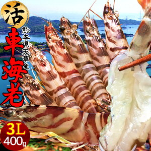 ԊCVm\12ny3Lz܂ Ԃ 400gm3L 6-8n炿 V ԃGr hg F{Y N}Gr   Hו xH Ԃ {B  