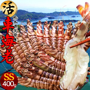 ԊCVm\11n܂ Ԃъ 400gmSS 22-24n炿 V ԃGr hg F{Y N}Gr   Hו xH Ԃ {B   