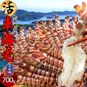 ԊCVm\11n܂ Ԃъ 700gmML 21-30n炿 V ԃGr hg F{Y N}Gr   Hו xH Ԃ {B   