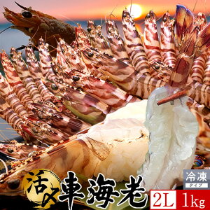 ԊCV hgm\11nYⓀ y2Lz1kgm24-28nV 炿 Ԃ F{Y 쓇 N}Gr {B H Ԃ GrtC  { Hו Ă  