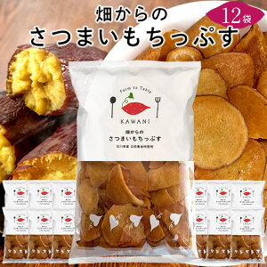 ̂܂Ղm12܁nܘY ΐ쌧Y  Tc}C ܈ _Ɖَ̂q XC[cmH̖o ӂ邳ƃMtgn