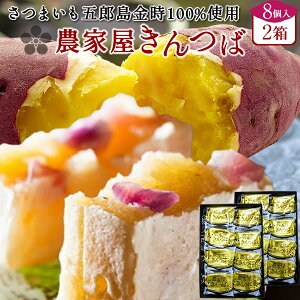  aَq  V ܘY  lߍ킹y8×2zΐ쌧Y  Tc}C ܈ ʔ̃Mtg _Ɖ  XC[c IXX lC O 