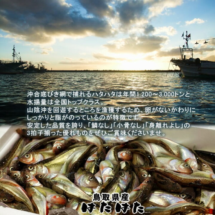 楽天市場 はたはた ハタハタ 約1kg 25匹 生 鮮魚 鳥取県 山陰沖産 シーズン到来 季節 加熱用 脂乗り抜群 旬の魚 鰰 自家製干物 一夜干し フライ 煮つけ 鍋物 ブリ子なし 秋田県以外 全国上位水揚量 食のふるさと 旨味 通販 ギフト 産地直送 朝採れ お歳暮 送料無料